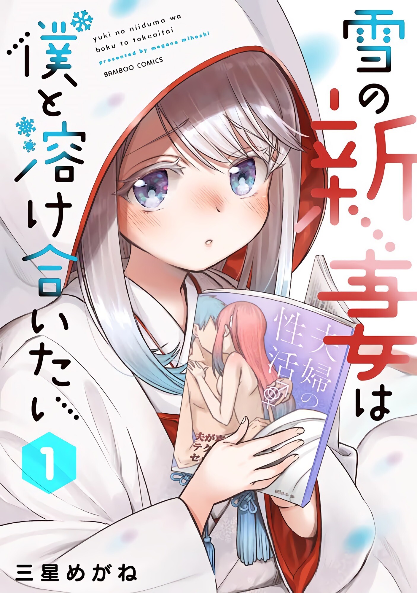 Yuki no Niiduma wa Boku to Tokeaitai Yuki no Niiduma wa Boku to Tokeaitai