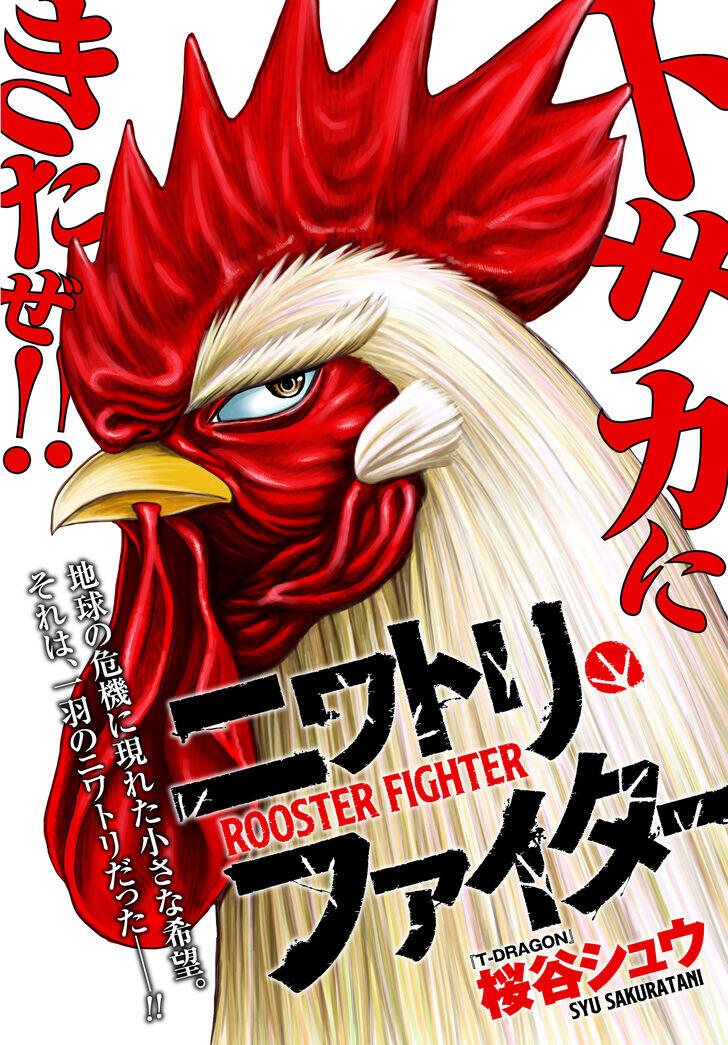 Niwatori Fighter Niwatori Fighter