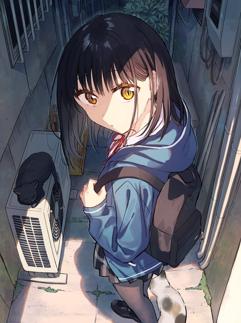 Tonari no Neko to Koi Shirazu Tonari no Neko to Koi Shirazu