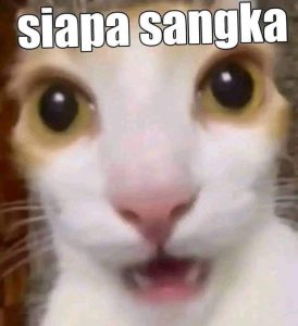 stiker-whatsapp-766397-mjv35i52